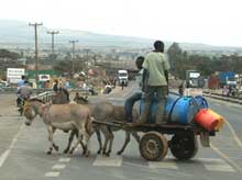 Donkey cart on road in Mai Mahiu